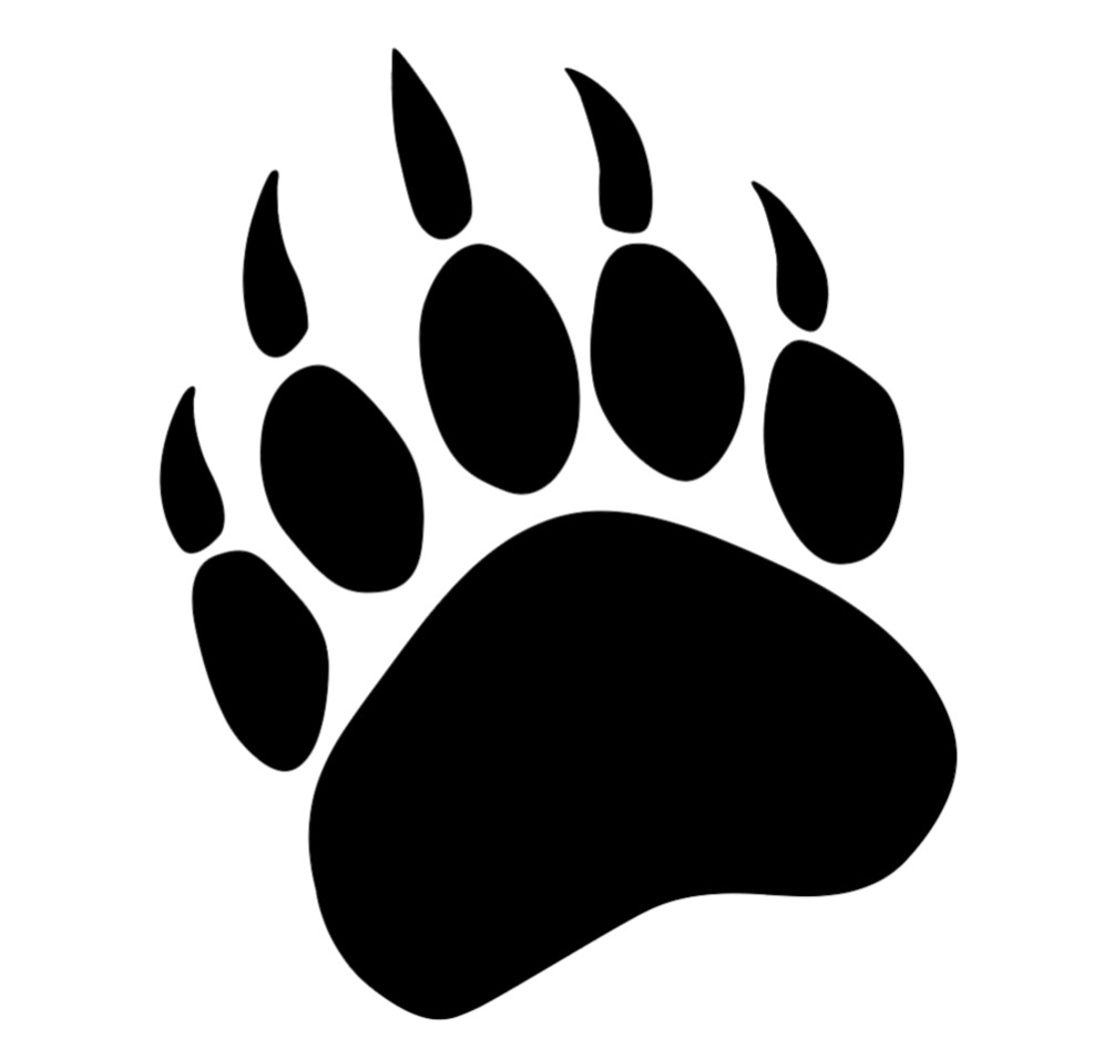Bear Paw for Car Truck Van Bumper Window Vinyl Decal Sticker Choose Color & Size