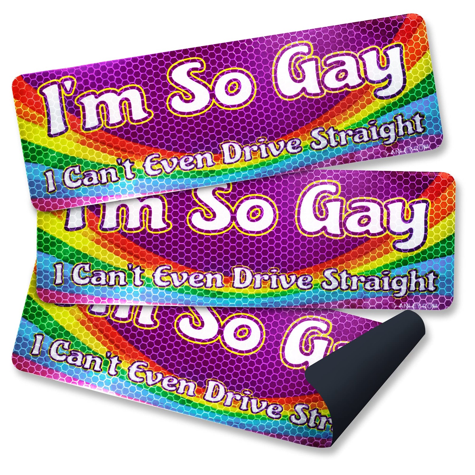 Anley I’m So Gay I Can’t 10 X 3 IN, I Even Drive Straight