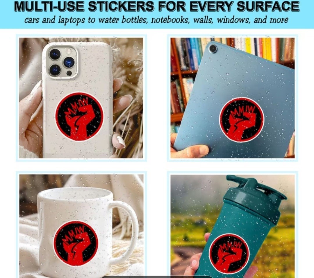 No More Stolen Sisters Car Truck Decal STICKER MMIW 3×3 In Free Shipping