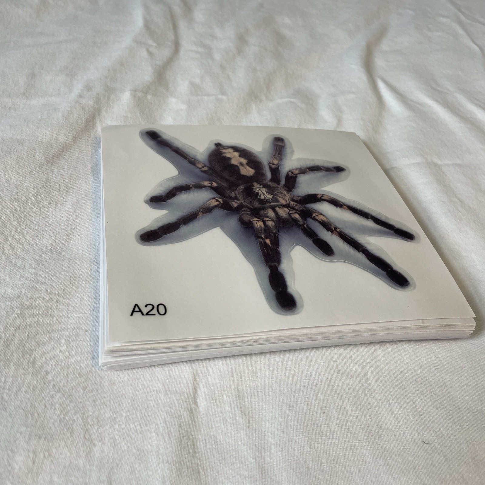 Lot Of 48 Tarantula Spider Sticker 4×4 Inch Car Truck Window Bumper Decal