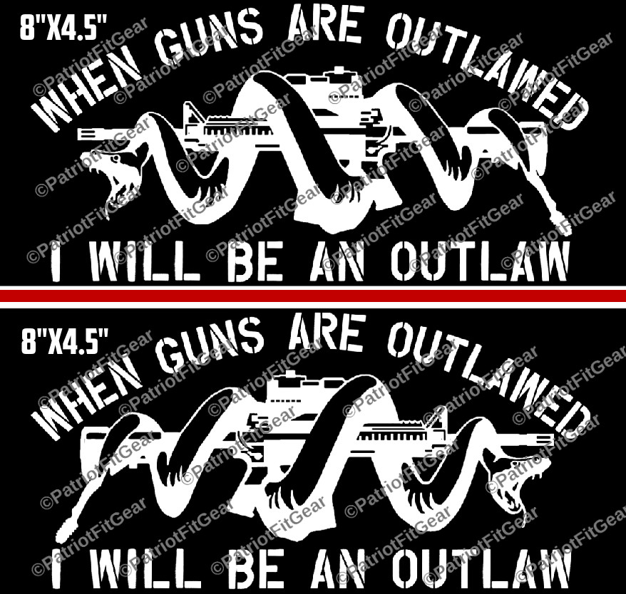 When Guns Are Outlawed,Molon Labe,8″x4.5″x2,We The People,Gun Rights,Vinyl Decal