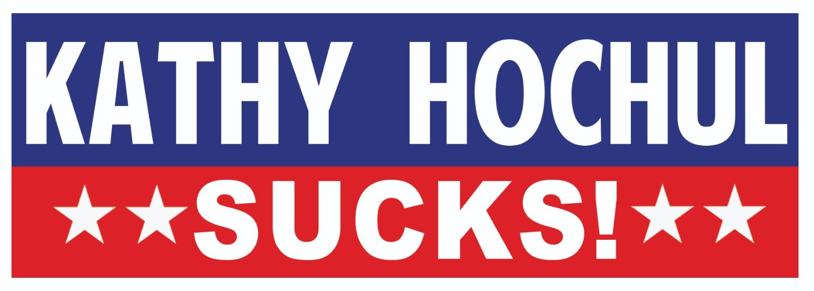 Kathy Hochul sucks bumper sticker decal NY USA 9×3 inch