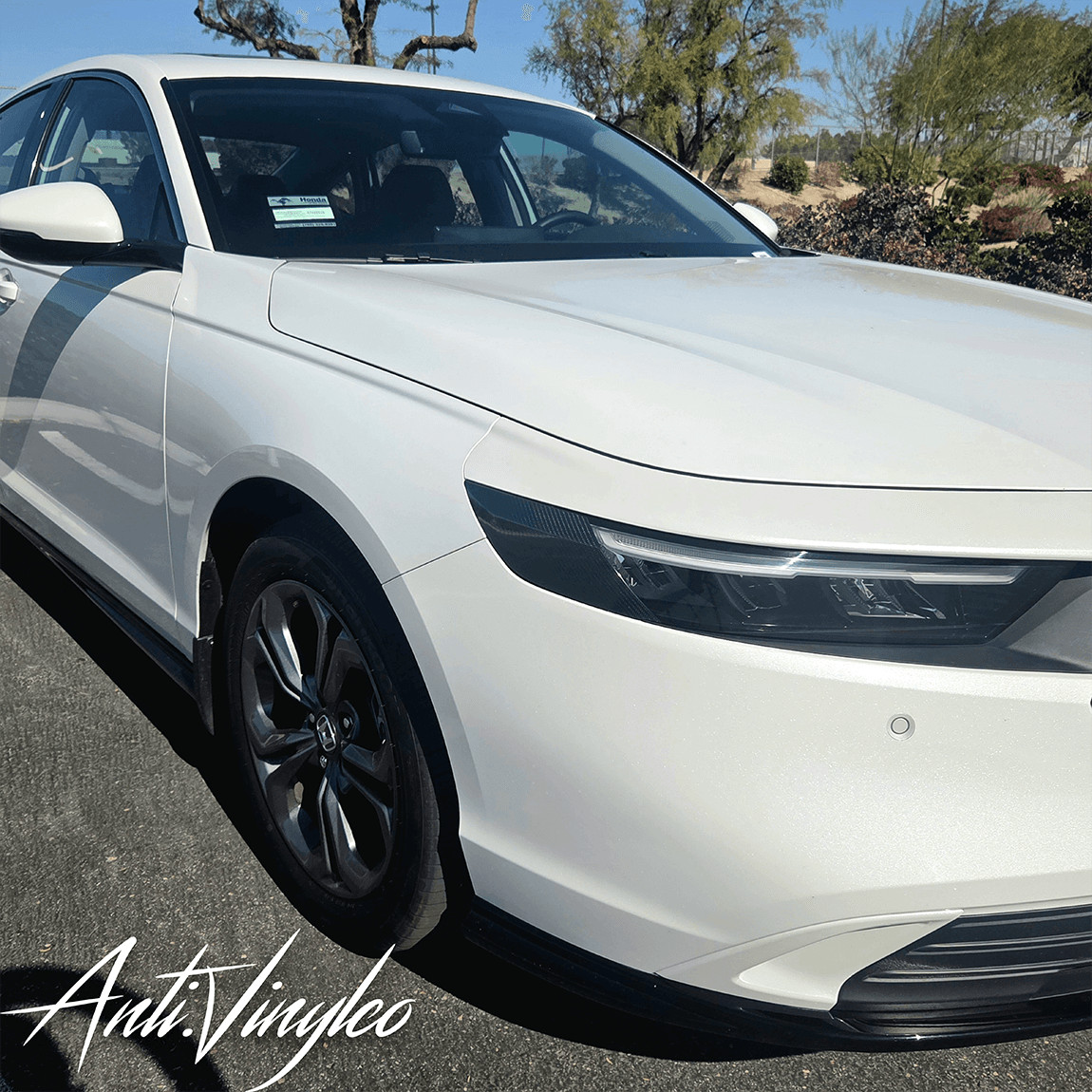 Amber Delete Set | 2023+ Honda Accord