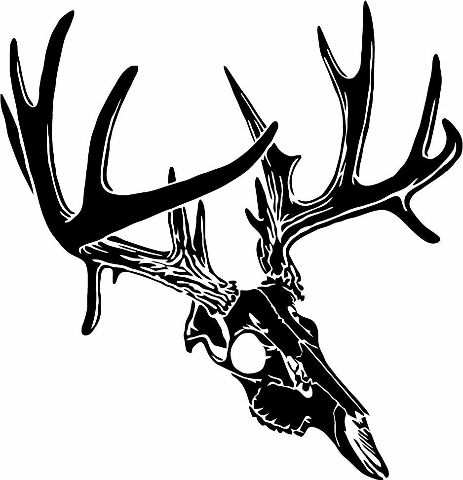 Deer Skull Car Window Vinyl Decal Hunting Truck Graphic Outdoors Sticker