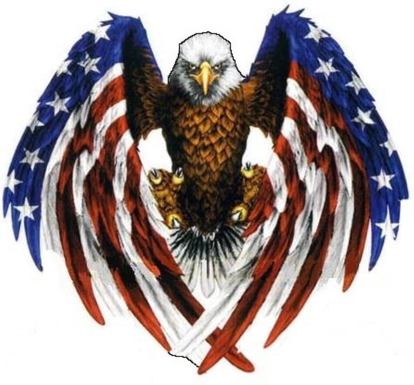 EAGLE WITH AMERICAN FLAG STICKER HELMET STICKER BUMPER STICKER SMALL LAPTOP