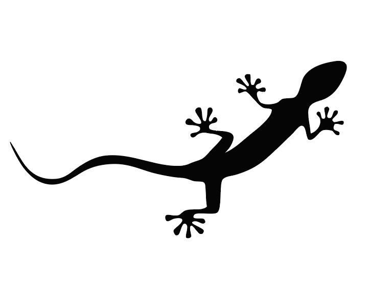 Audi Quattro Gecko 4×4 All Wheel Drive Vinyl Sticker Decal Car SUV Bumper Window