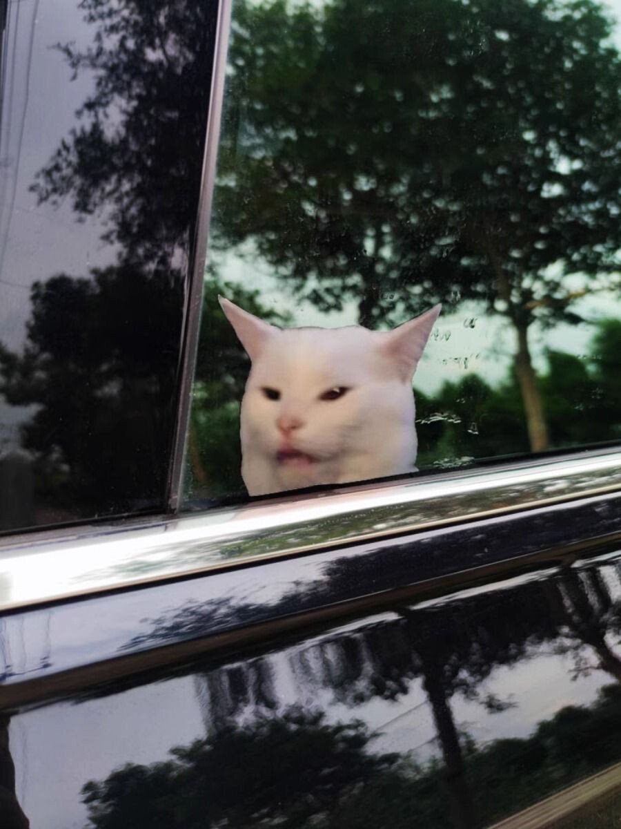 Doge MEME Smudge the cat Face Cheems Decal Sticker Window Truck Car Bike Laptop
