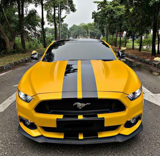 236” Black Hood Roof Trunk Rally Racing Stripe Decal Sticker For Ford Mustang