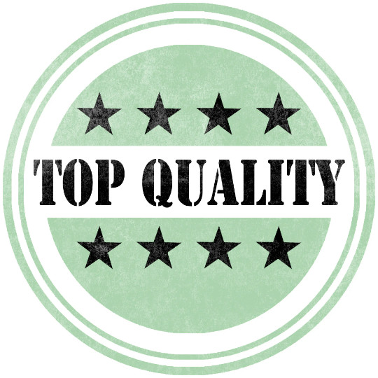 Beautiful Girl Sticker Decal Laptop Car Vehicle Window Bumper Vinyl Decal Mech