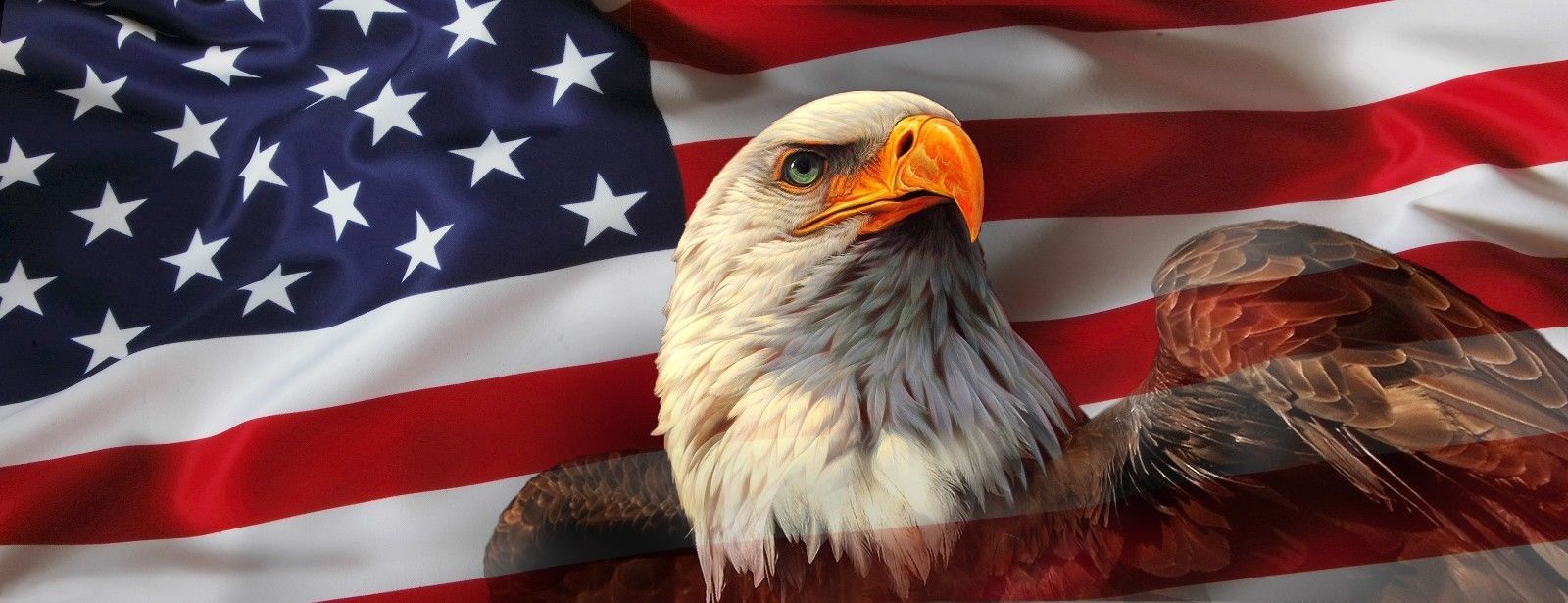 AMERICAN USA FLAG EAGLE PICK-UP TRUCK BACK WINDOW GRAPHIC DECAL PERFORATED VINYL