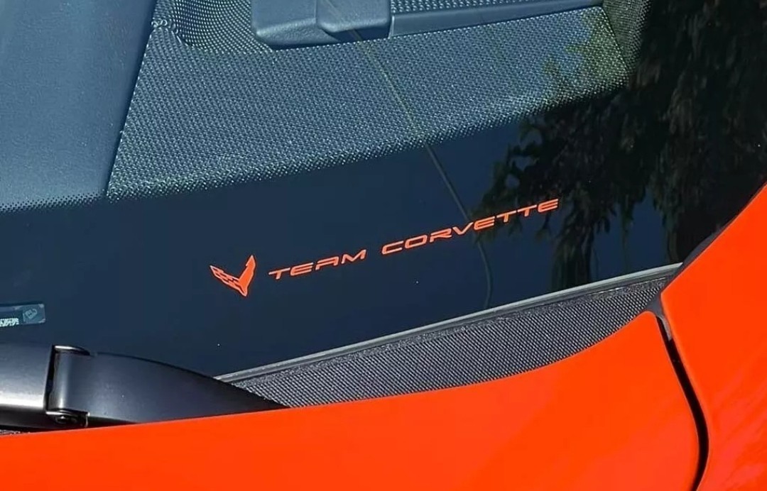 C8 Corvette SEBRING ORANGE ‘TEAM CORVETTE’ PLAIN BLANK VINYL INSERT 2″ x 7″