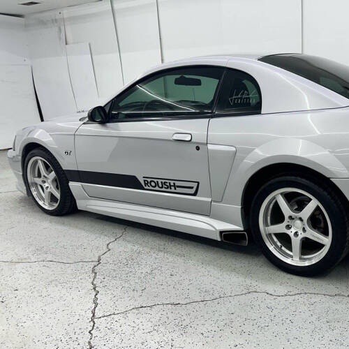 OEM 2002 ROUSH SIDE DOOR GRAPHIC DECALS NEW 2PC SET FITS MUSTANG GT DELUXE RARE