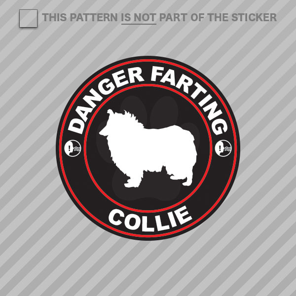 Danger Farting Collie Sticker Self Adhesive Vinyl dog canine pet