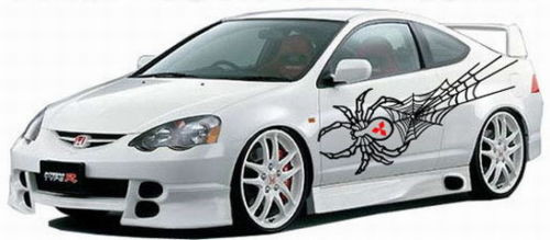 SPIDER #2 DECAL VINYL GRAPHIC CAR TRUCK VEHICLE AUTO VAN SUV ANIMAL TRAILER