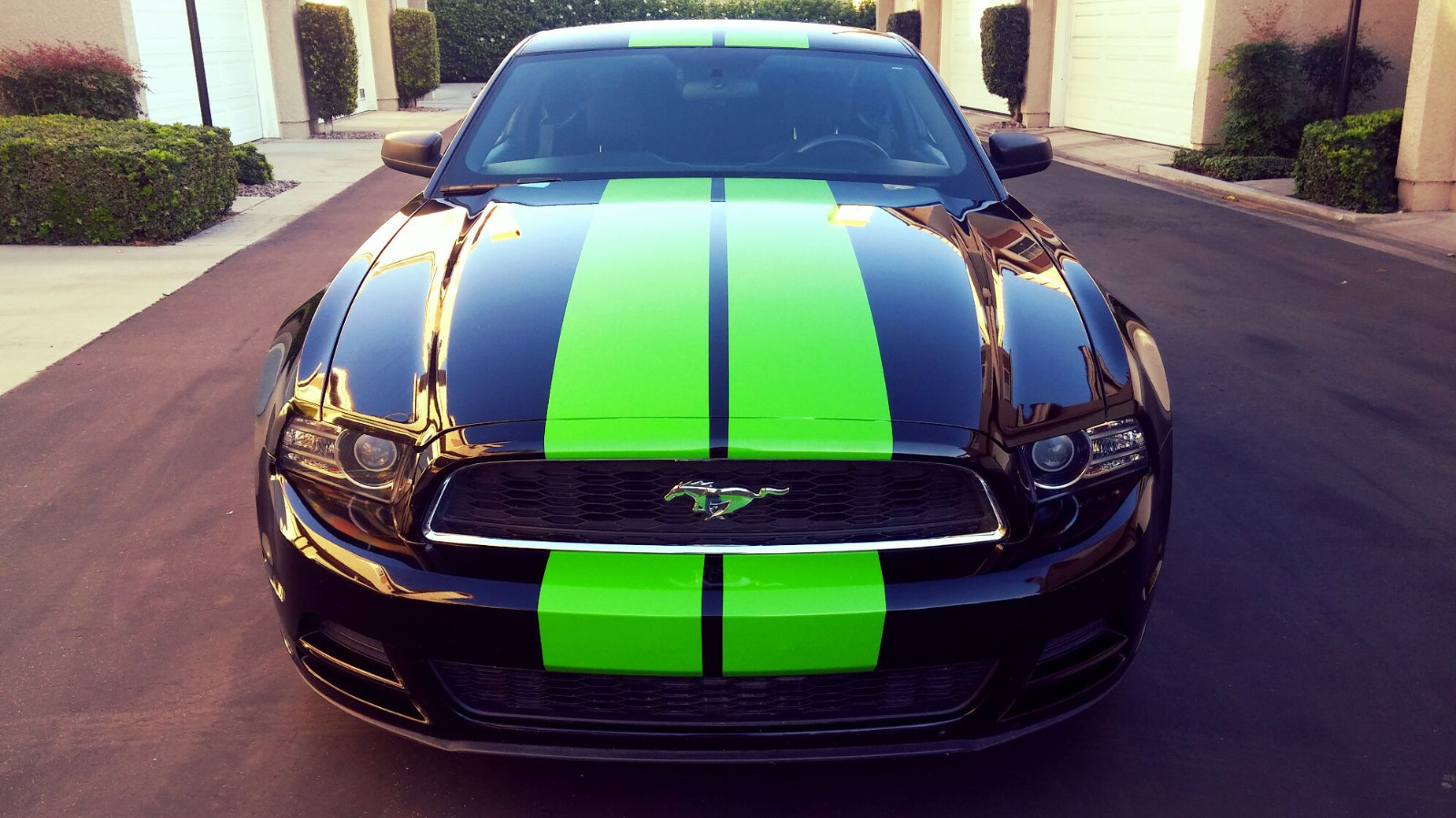 FOR ALL FORD MUSTANG 10 INCH TWIN Racing Stripes Vinyl Graphic Decal 36 FEET