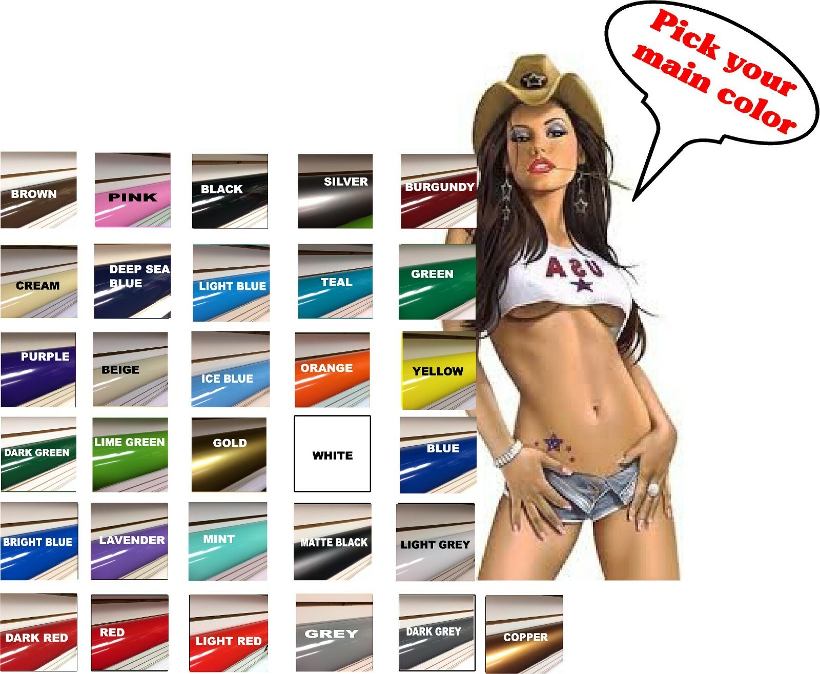 CAN-AM CANAM MAVERICK DS DECALS DECAL 2 COLOR 30 color choices