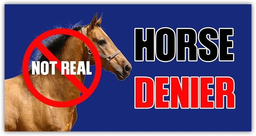 Horse Denier Adult Humor Truck Minivan Bumper Sticker Vinyl Soldier Decal 5″