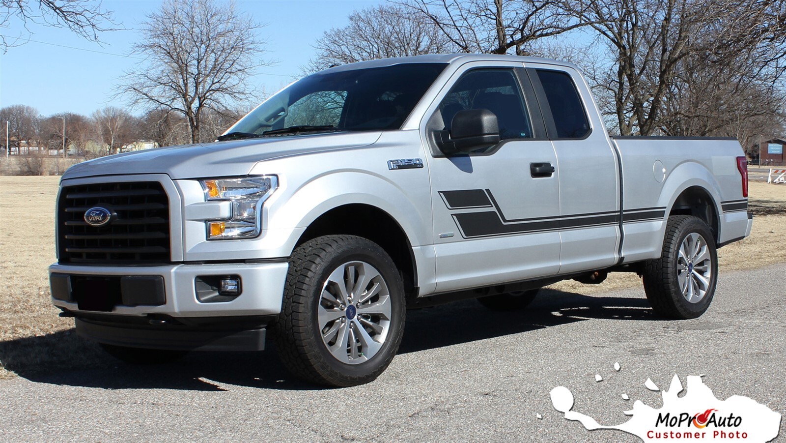 ELIMINATOR 2015-2020 Ford F-150 Side Door Low Hockey Stripe Vinyl Graphic Decal