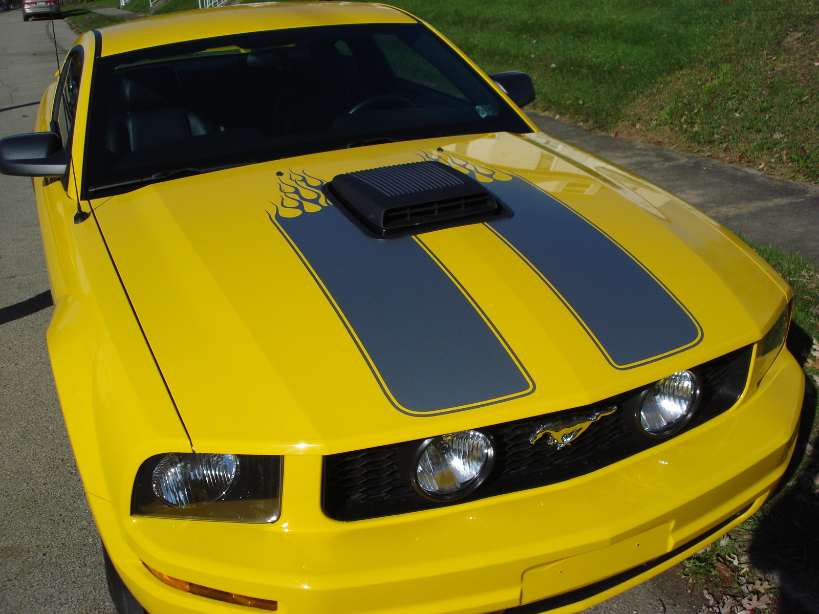 Custom FLAMES HOOD STRIPES – fits CARS TRUCKS SUVS – MANY COLOR TO PICK FROM