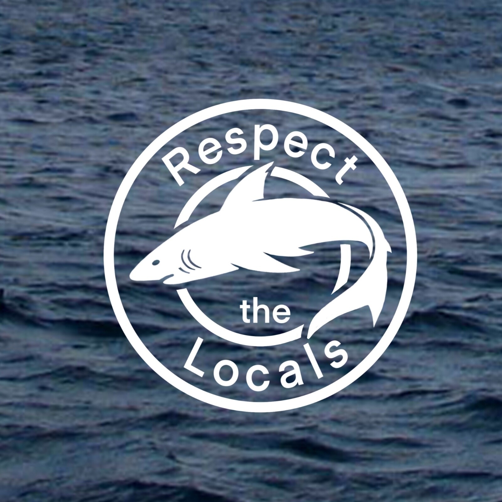 Hand drawn Shark Decal / Respect the Locals / Shark Stickers / Shark Car Decal