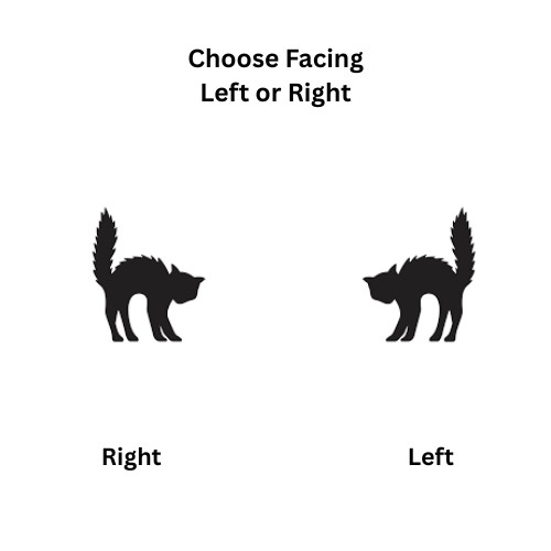 Scared Black Cat Halloween Decor Vinyl Decal Choose Size and Color