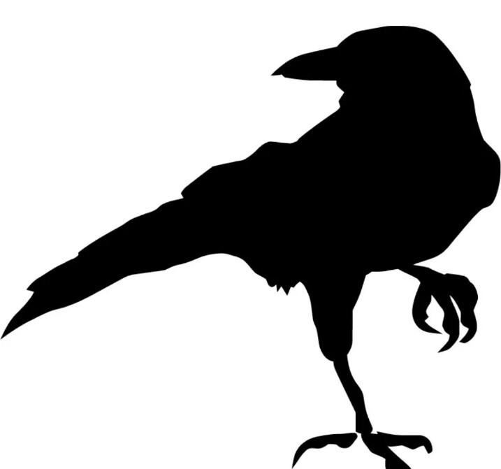 Crow Raven Black Bird Vinyl Decal Sticker you choose size and color
