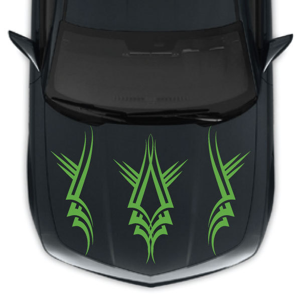 Tribal Stripe Hood & Side Vinyl Decal Truck Vehicle Graphic SUV Car Pickup Boat