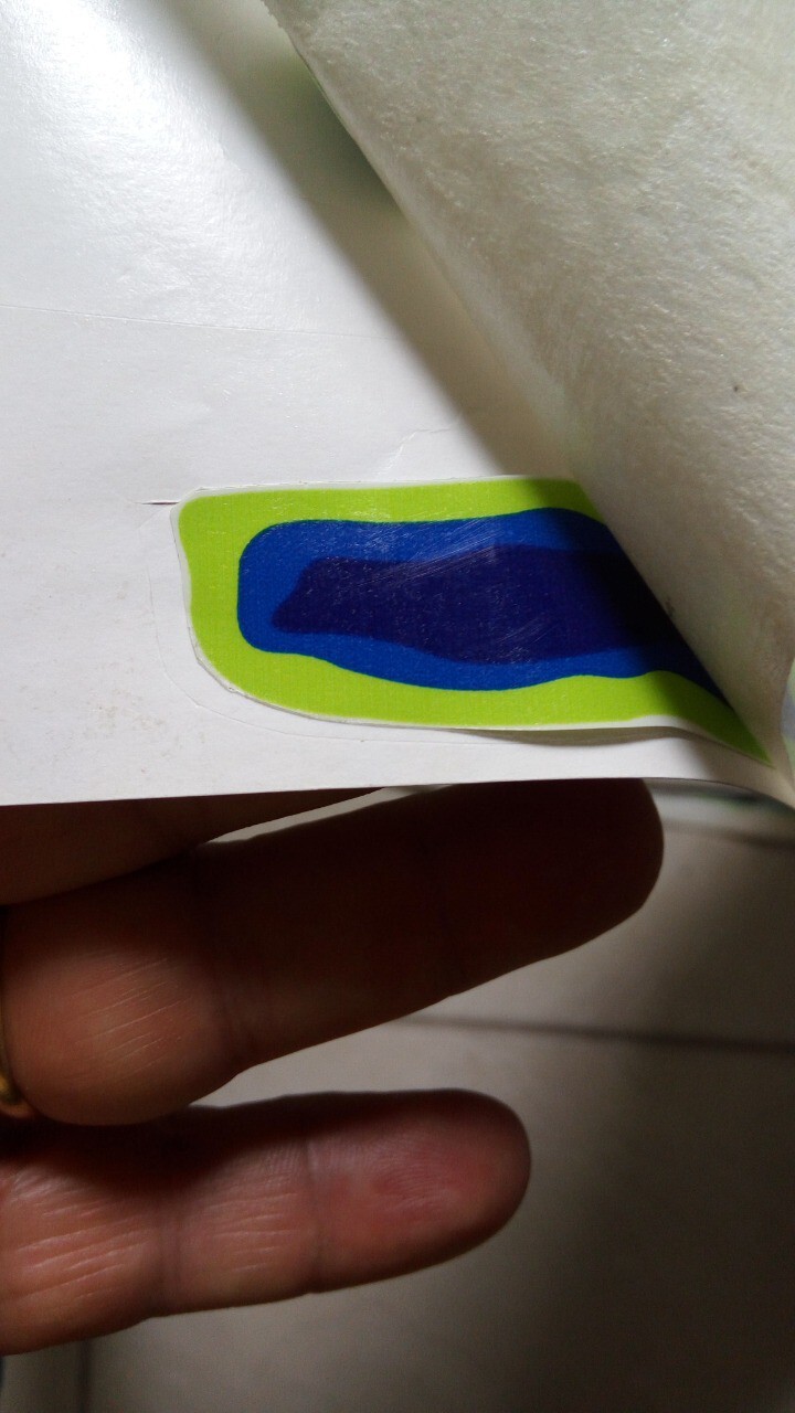 Ford Ranger Splash Decals