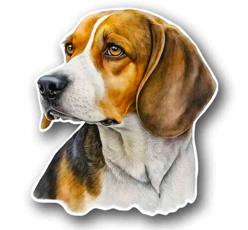 Beagle Dog 4.9″ Tall Sticker Decal Waterproof Vinyl