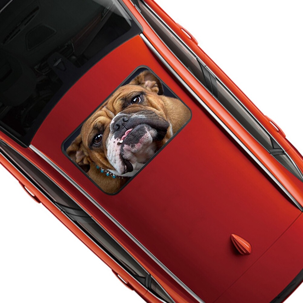 Vehicles Sunroof Window Vinyl Film Glass Sticker Decals PVC Car Cover Wrap Cute