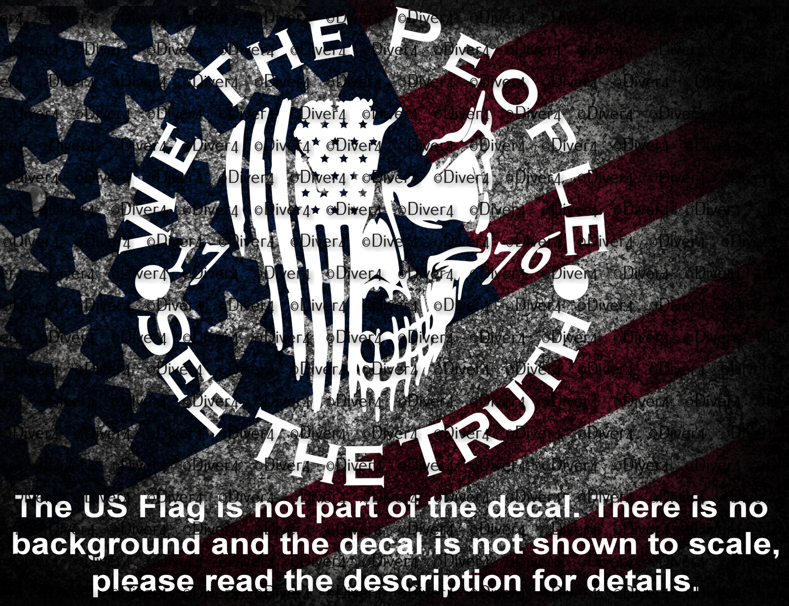 We The People See The Truth Flag Skull 1776 Vinyl Decal US Seller